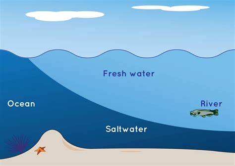 diagram for ocean 